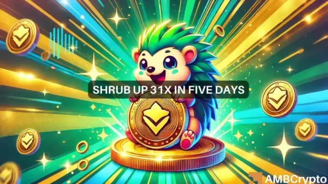 Shrub crypto gains 3100% within five days – Should you take profits or HODL?