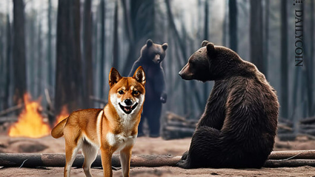 Shiba Inu's Stock Thinning: Will Supply Crunch Boost SHIB?