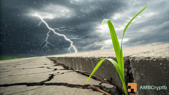 GRASS crypto rallies 11% despite falling volume – Are volatility risks rising?