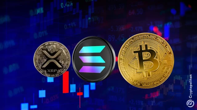 XRP and Solana trade at nearly double Bitcoin's volatility this year