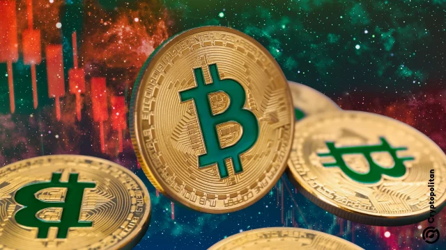 Bitcoin falls in Q4 yet beats all other crypto sectors