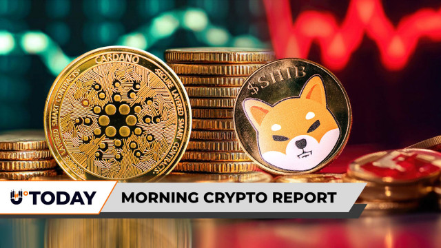 Morning Crypto Report: World's Highest IQ Holder Turns to XRP, Cardano on the Verge of 40% Surge, Shiba Inu (SHIB) Loses $110 Million in Just 24 Hours