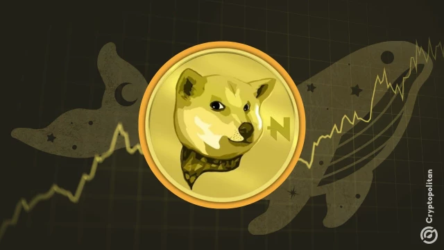 NEIRO supply moves to exchanges, sparking sell-off or pump speculation