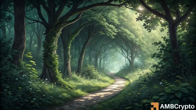 Bitcoin Cash: Here's why BCH traders should watch THIS buy signal