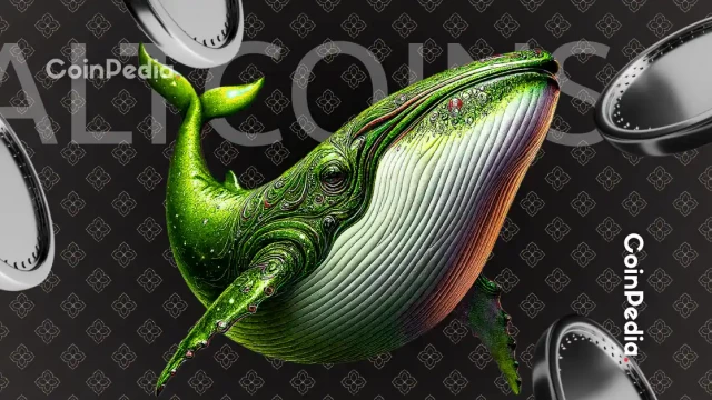 Featured image for article: Black Friday Sale: Top Altcoins to Buy This Crypto Crash