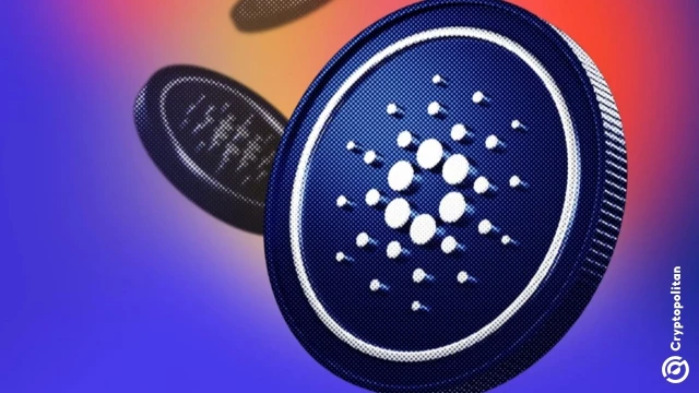 Cardano whales bag 454M ADA while small wallets exit