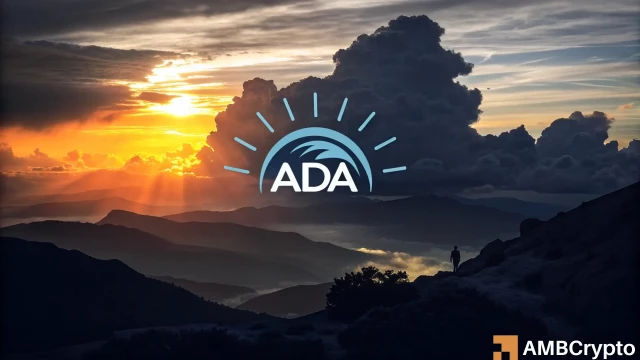 Cardano's relief rally is good news, but here's why it might not last!