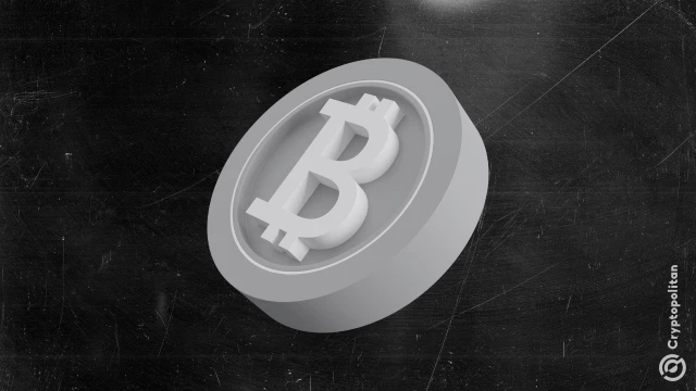 Major BTC darknet market vanishes in potential scam