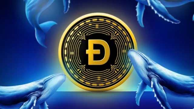 Dogecoin Price Analysis: Can DOGE Turn $0.081 Into a Launchpad?