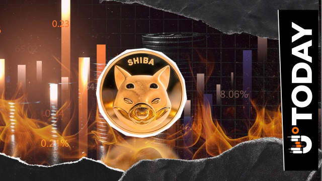 Nur 11 US-Dollar an SHIB wurden in 24 Stunden verbrannt, während die Shiba Inu-Verbrennungsrate im roten Bereich bleibt