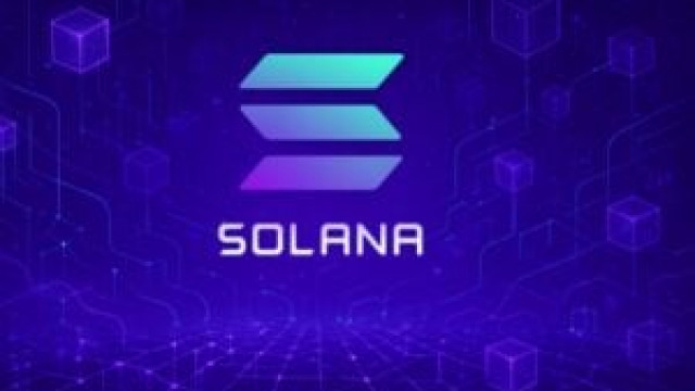 Safety Shot bets on BONK: 25 million dollars to dominate the memecoin market on Solana