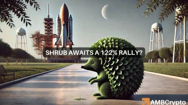 SHRUB crypto soars 5X in 7 days as Elon Musk says ‘exciting times!'