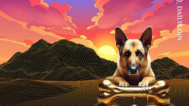 1.6T SHIB Coins Left Exchanges: What's Cracking Here?