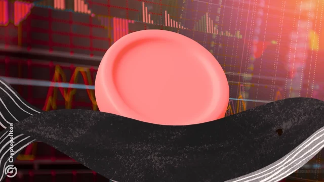 Featured image for article: Largest on-chain crypto whales exit positions as market watchers turn bearish