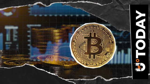 It Will Take Bitcoin 20 Years to Become 'Better Gold': Willy Woo