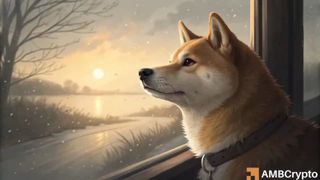 Dogecoin's profit metric hits 2-year low – Is the bottom in for DOGE?