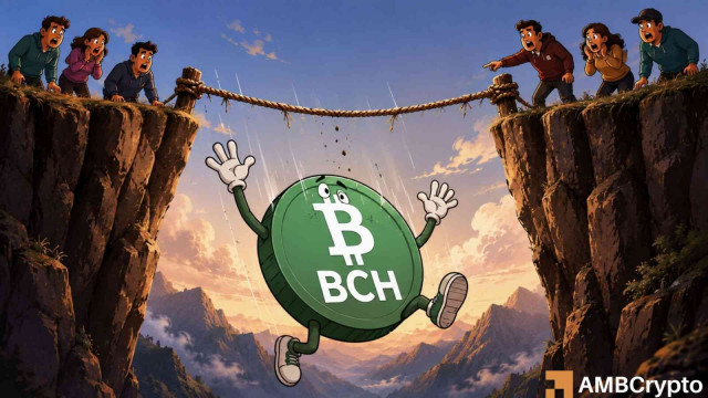 Bitcoin Cash drops 12% as whales sell: Is BCH headed to $305?