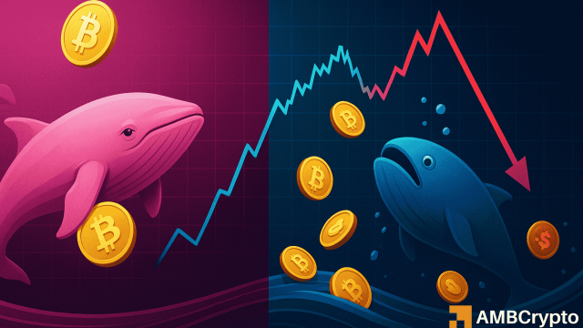 Bitcoin new whales lose $1 billion as BTC trades below $110.8K cost basis