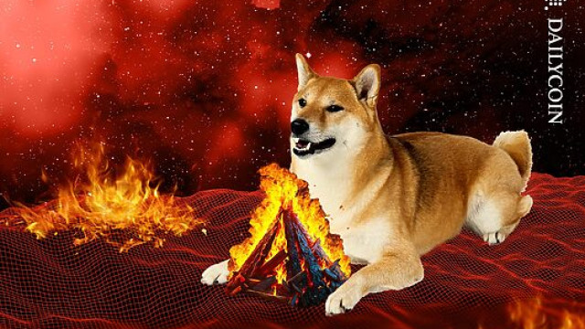 Shiba Inu Soars 1086% In Burns; Is SHIB Price To Follow?