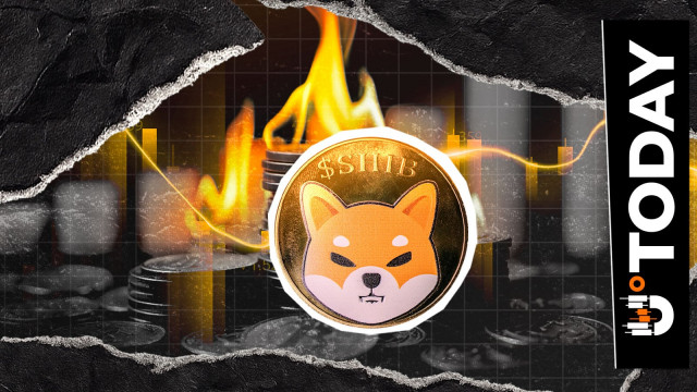 Close to 200,000,000 SHIB Turns into Ash with 535% Surge