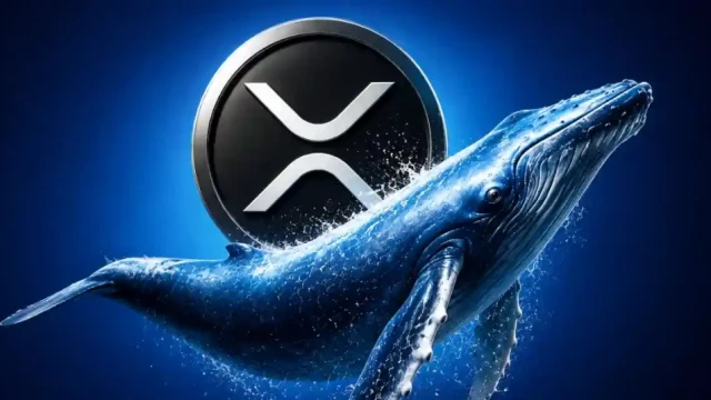 Why XRP Price is Rising Today