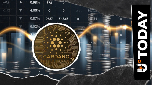 'Not Bridges': Cardano Builder Highlights Vision for Direct Withdrawals
