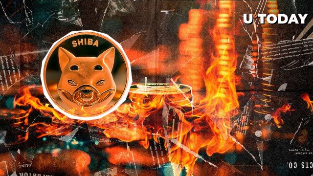+2,196.63% SHIB: Key Metric Moves Millions of Meme Coins