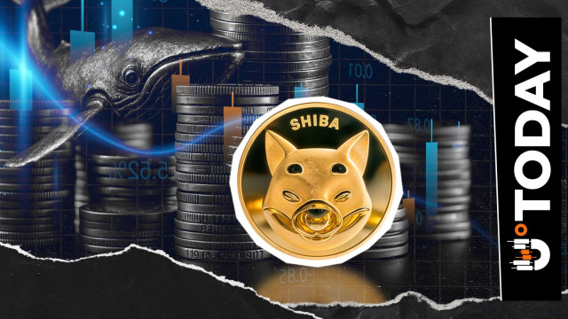 7,380,000,000,000 SHIB Puts OI in Flames as Price Removes Zero