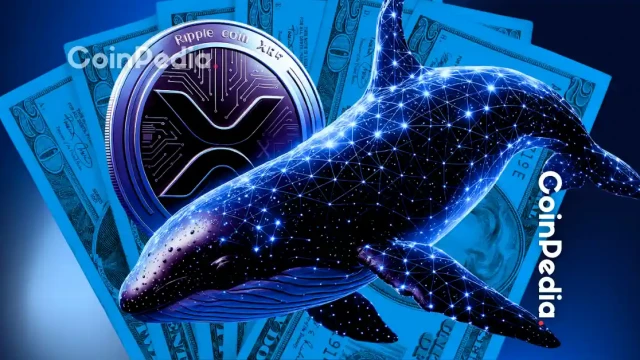 XRP Rich List Revealed: Are Retail Investors Being Priced Out?
