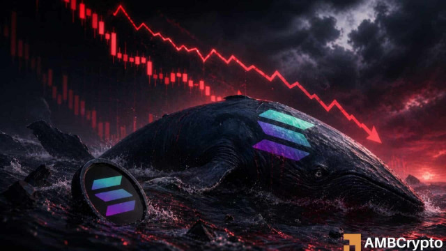 Solana whale exits at a $17.6mln loss – What's next for SOL?