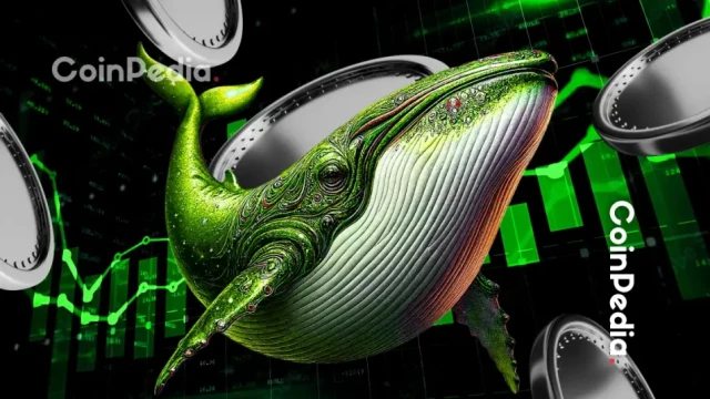 These 5 Altcoins Are Seeing the Biggest Whale Accumulation Right Now