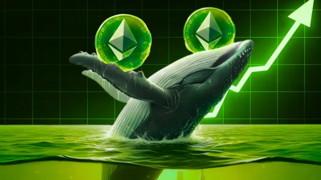 What Are Ethereum Whales Up To as ETH Trades Below Their Cost Basis: Accumulating or Distributing?