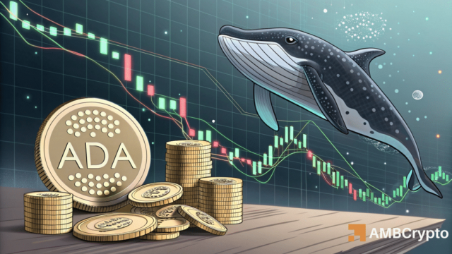 Cardano – Can 70M ADA whale buy lift prices past $0.90?