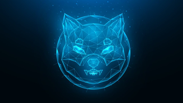 +103% in Shiba Inu (SHIB) Most Crucial Metric in 24 Hours: Can It Save the Day?