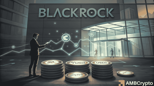 BlackRock targets stablecoin boom with new fund