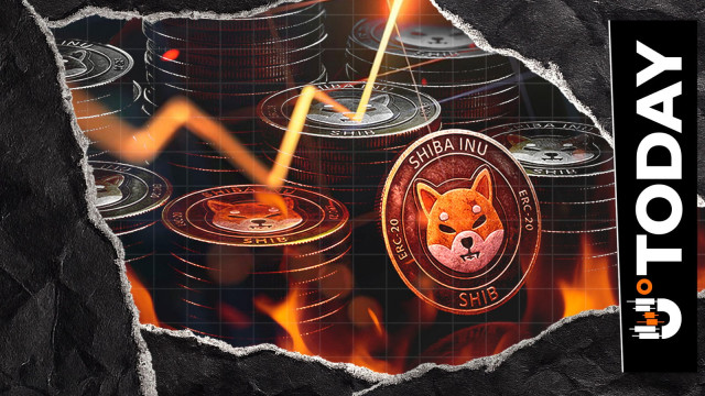 Only $4 in SHIB Burned: What's Behind 72% Drop?
