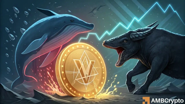 Virtual Protocol whale moves 7 mln tokens – What about price?