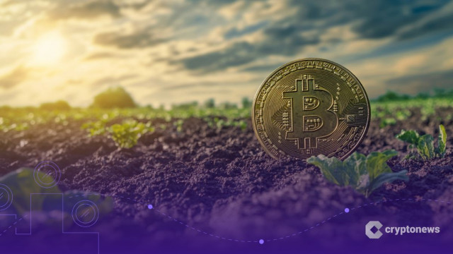 Crypto Market Prospect: After the Washout, the Soil Looks Richer
