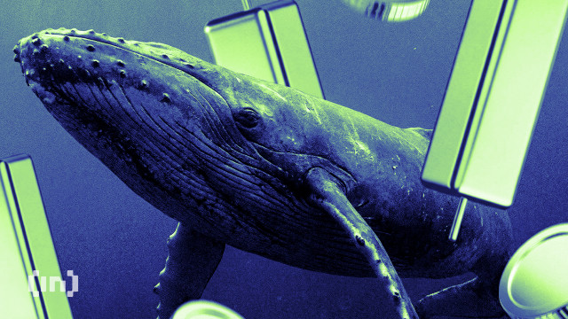 What Crypto Whales Are Buying For Potential Gains In February 2026