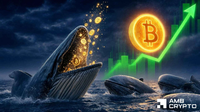 Bitcoin whales bet $94M on recovery – Can BTC finally clear $64K?
