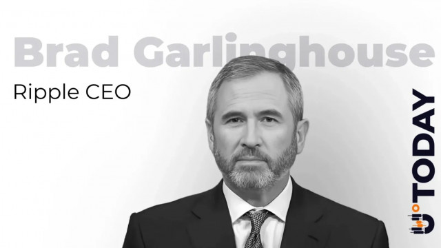 Ripple CEO: 'I Am Not XRP Maxi'