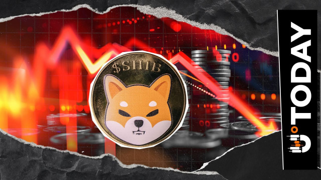 Shiba Inu (SHIB) Erases $600 Million in Value, But It May Be Just the Beginning