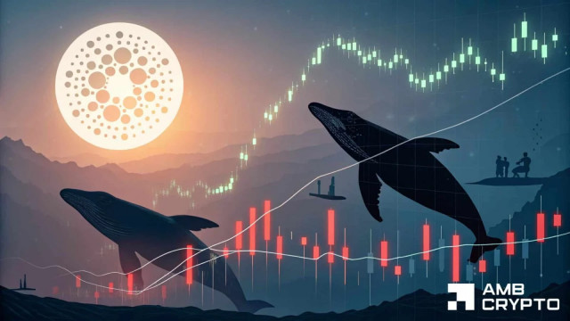 Cardano's multi-month slump sparks whale activity – ADA's recovery coming?