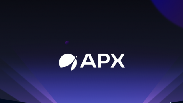 Why APX Finance (APX) Token Rises Over 120%?