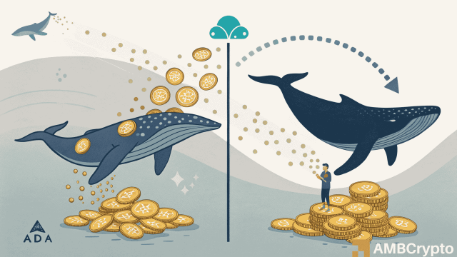 Cardano whales accumulate as retail dumps — Is a major ADA reversal brewing?