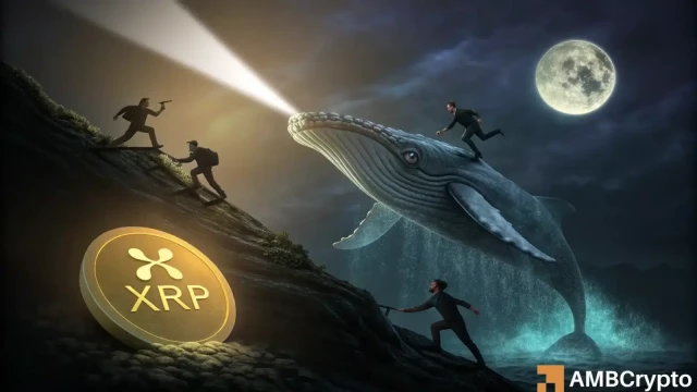 60% whale outflows vs rising leverage – XRP at a crossroads?