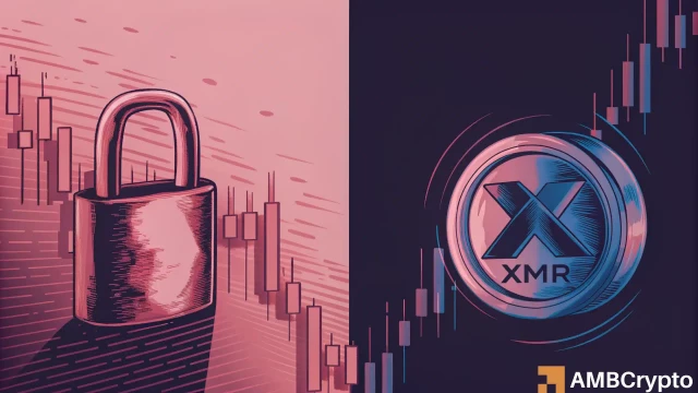 Monero's [XMR] rally looks unstoppable – but the data says otherwise