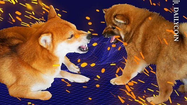 SHIB Army Split On Leadership: Will It Boost Or Sink Shiba?