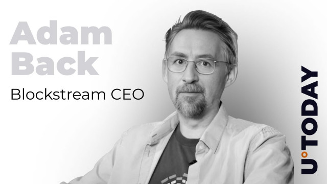 Lost Satoshi Blockchain Chat Resurfaces Years Later, Adam Back Weighs In