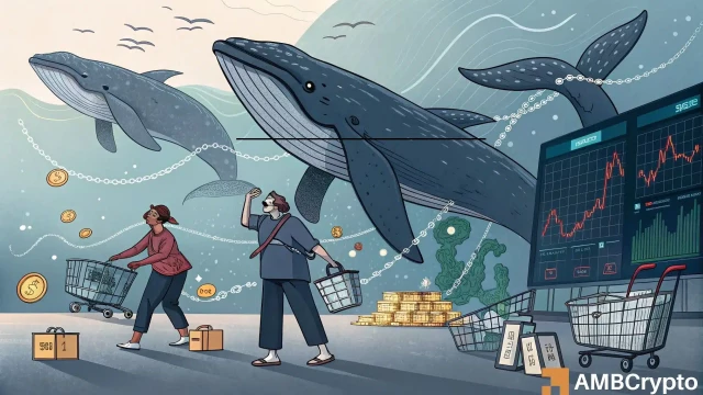 Chainlink falls 16% as LINK whales dump $8.17M – Can $20 hold?